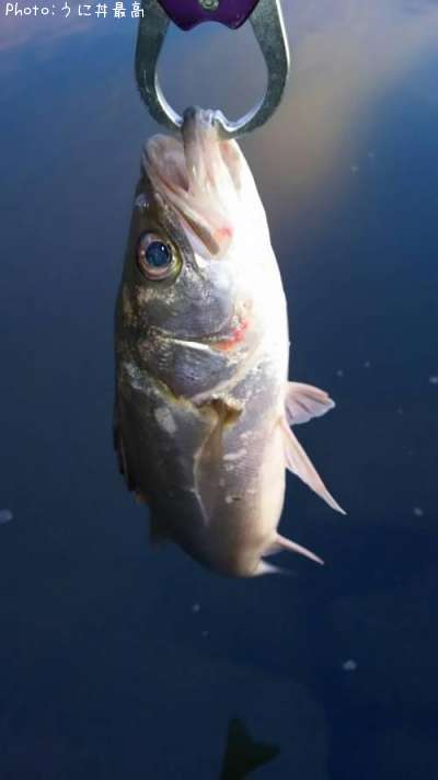 �����Х�