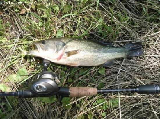 �֥�å��Х�