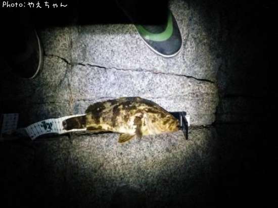 �٥å�������