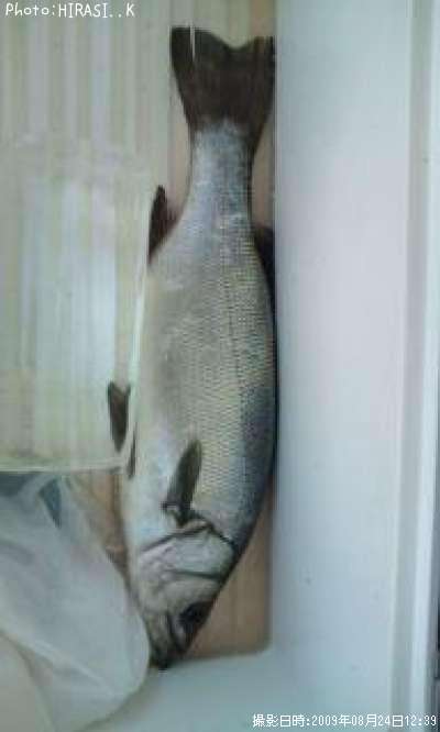 �ҥ饹����