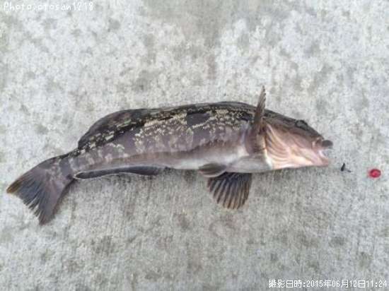 �����ʥ�