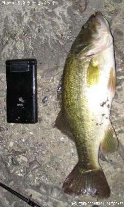 �֥�å��Х�