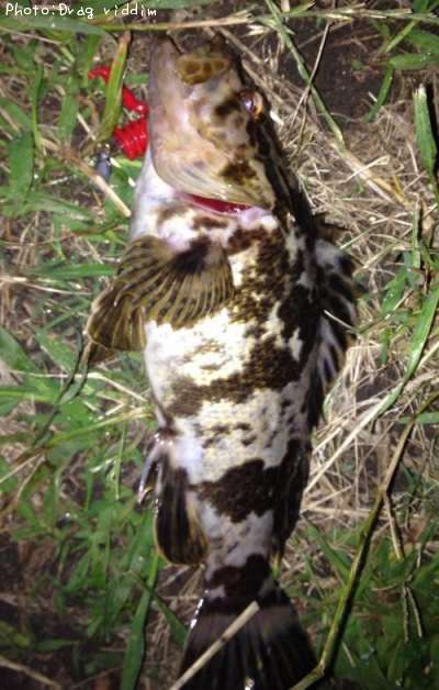 �����Υ���Х�