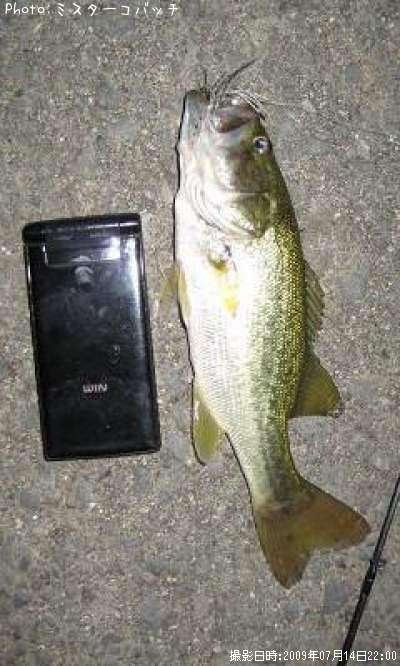 �֥�å��Х�