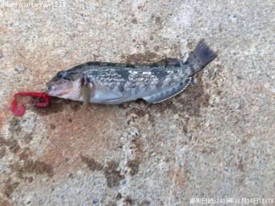 �����ʥ�