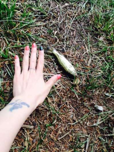 �֥�å��Х�