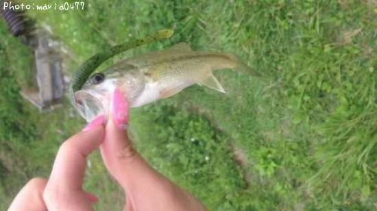 �֥�å��Х�