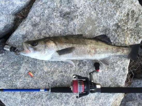 �����Х�