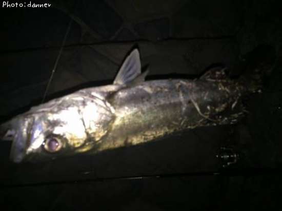 �����Х�