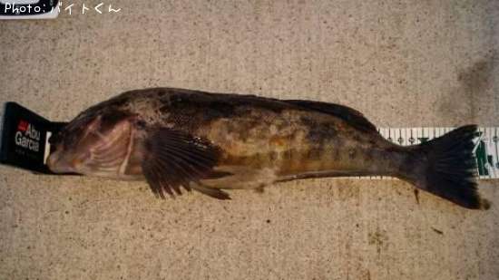 �����ʥ�