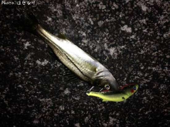 �����Х�