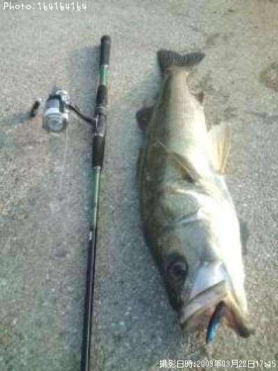 �����������Х�