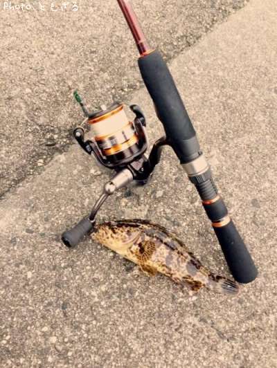 �����Υ���Х�