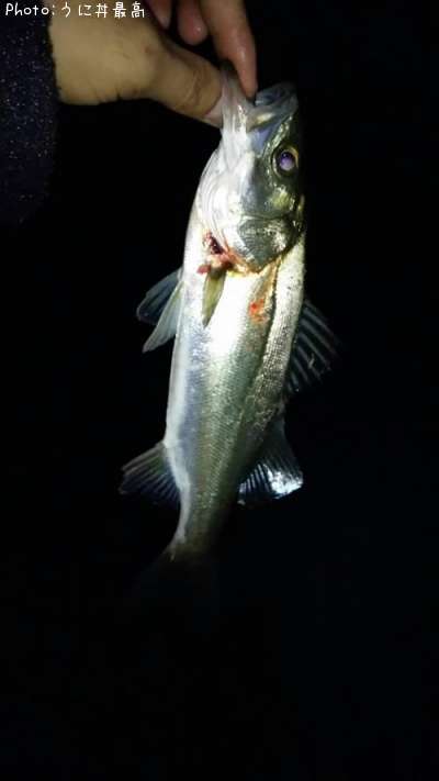 �����Х�