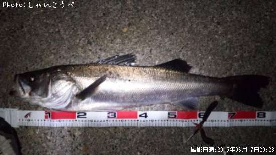 �����Х�