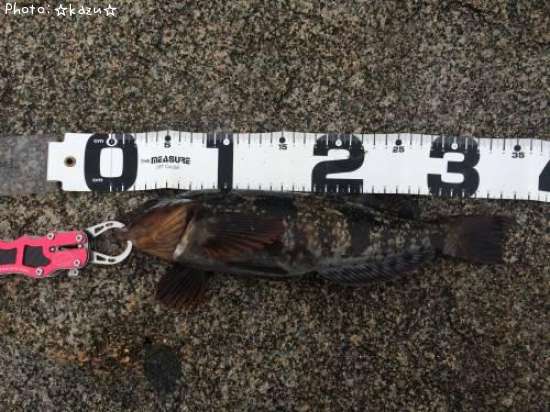 �����ʥ�