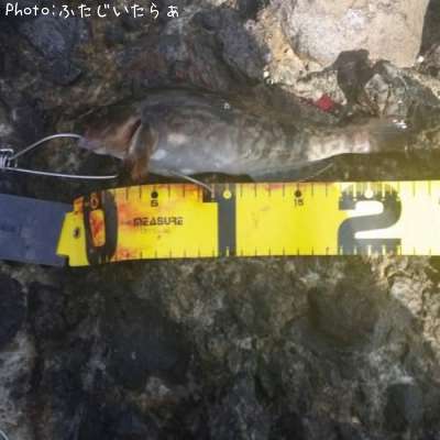 �����ʥ�