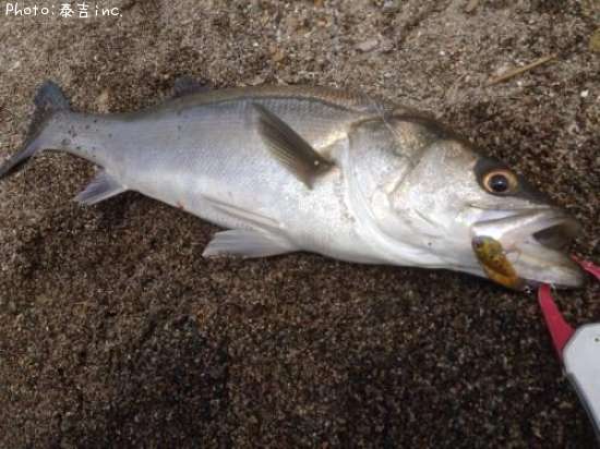 �����Х�