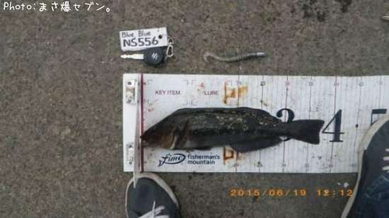 �����ʥ�