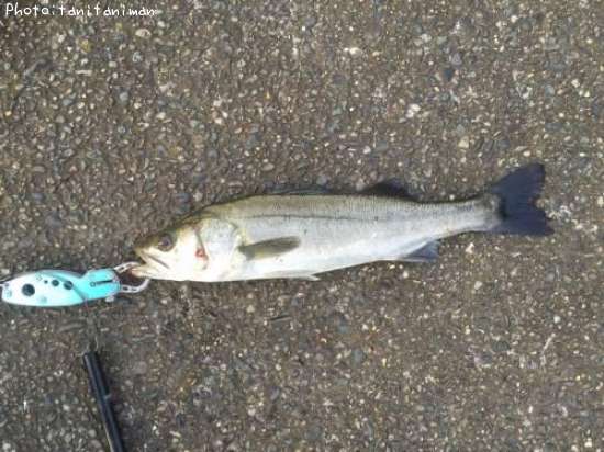 �����Х�