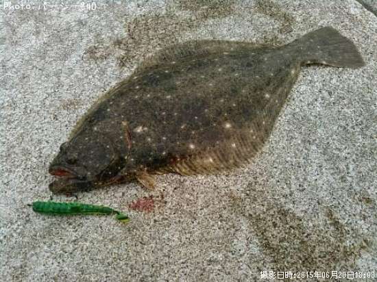 �ҥ��ʥ�����