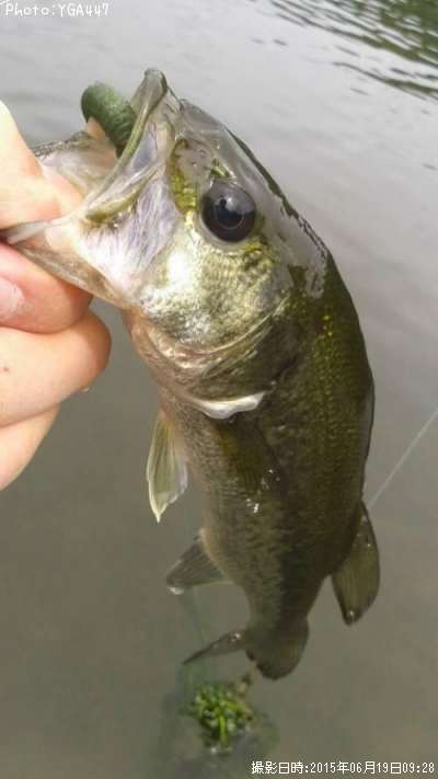 �֥�å��Х�