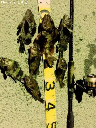 ���å��ե��å���