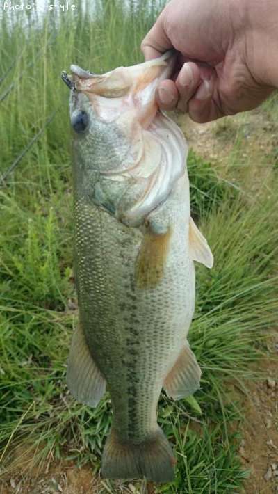 �֥�å��Х���