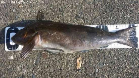 �����ʥ�