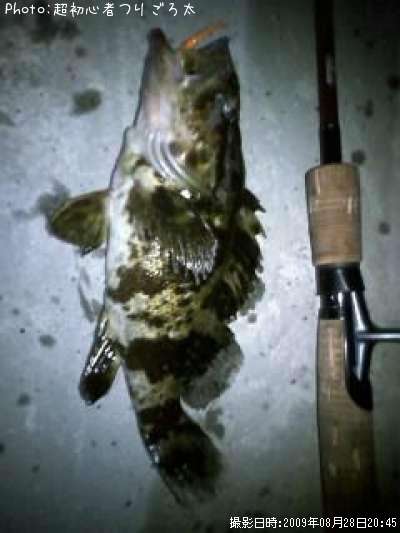 �٥å�������