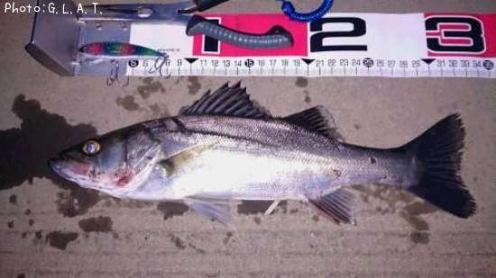 �����Х�