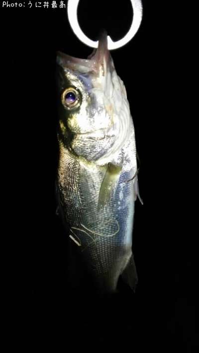 �����Х�