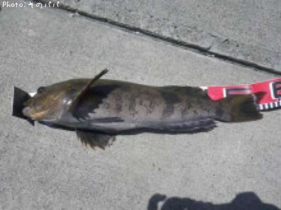 �����ʥ�