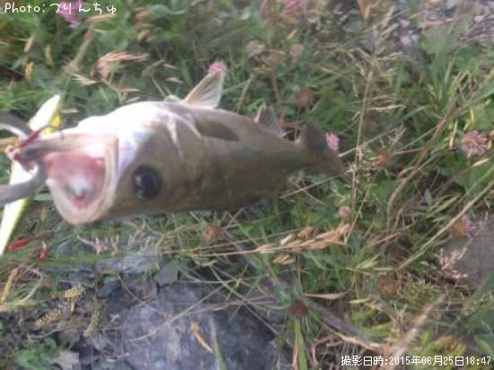 �����Х�