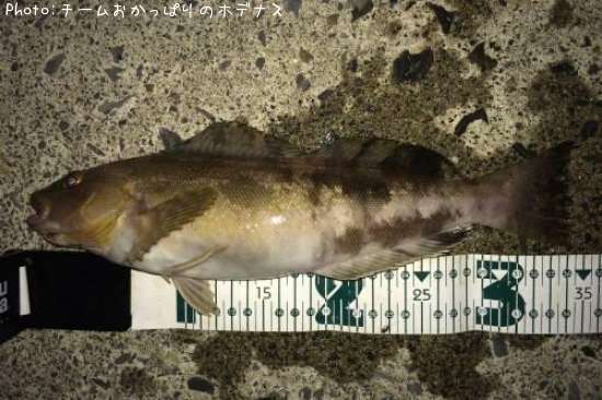 �����ʥ�