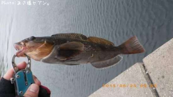 �����ʥ�