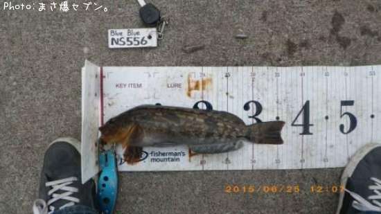 �����ʥ�