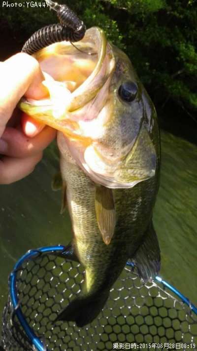 �֥�å��Х�