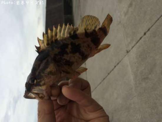 �����Υ���Х�