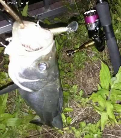 �����Х�