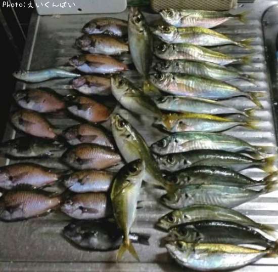 �������ȥ��������