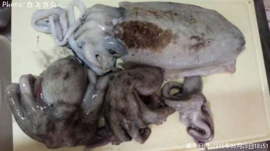 ����ưʪ�ʾС�