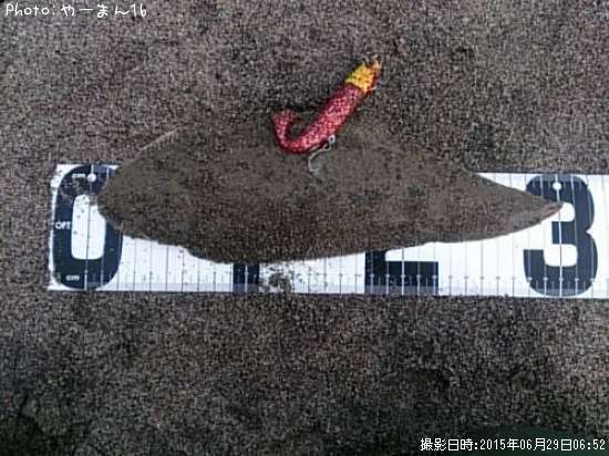 �����ӥ��