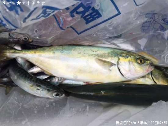 �參������