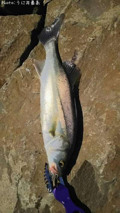 �����Х�