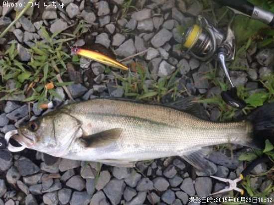 �����Х�