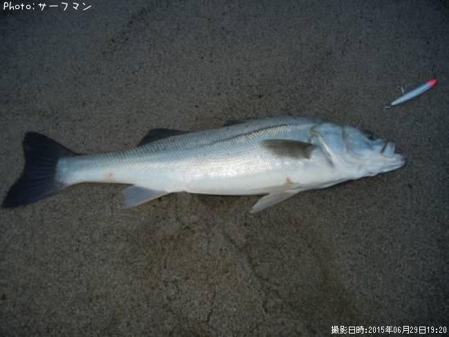 �����Х�