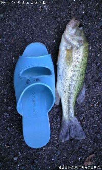 �֥�å��Х�