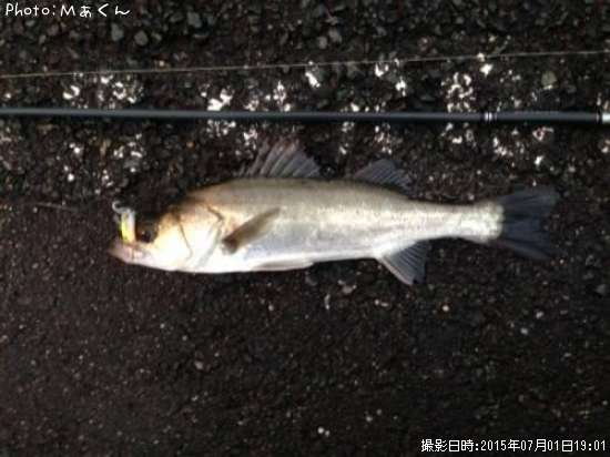 �����Х�