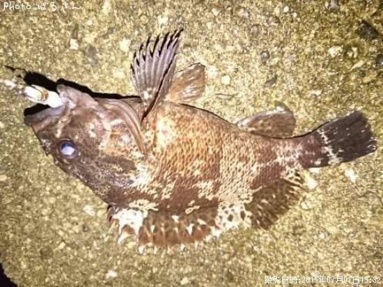 �٥å�������